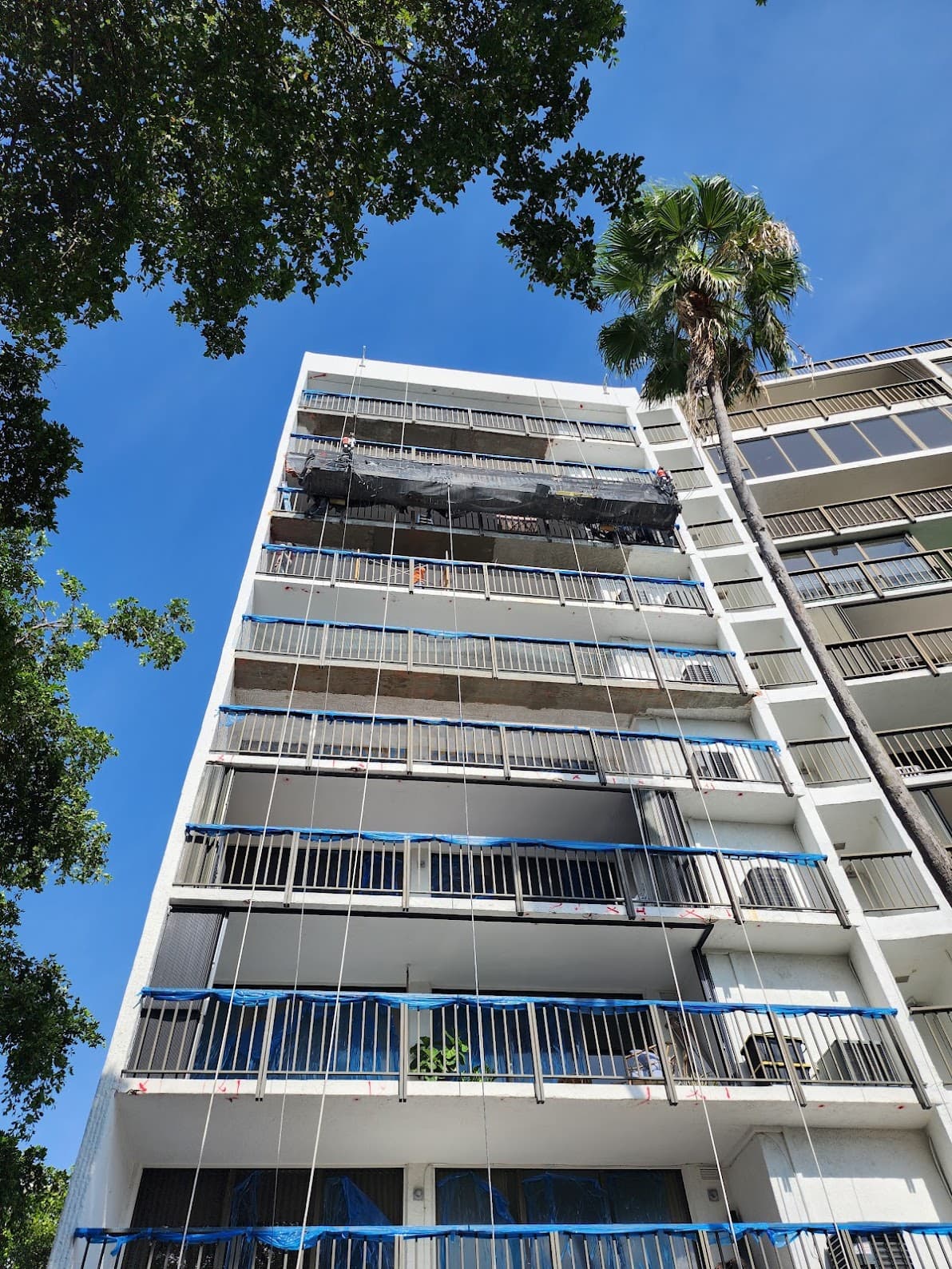 Flats At Morningside restoration work
